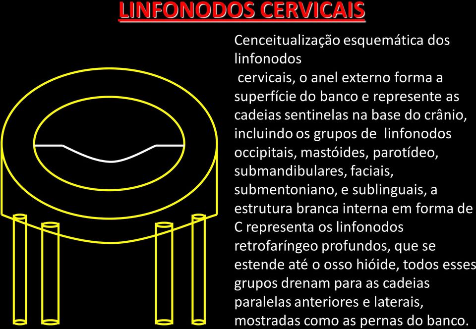 faciais, submentoniano, e sublinguais, a estrutura branca interna em forma de C representa os linfonodos retrofaríngeo profundos,