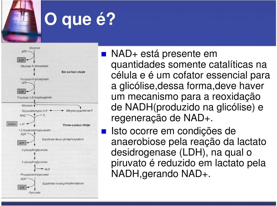 para a glicólise,dessa forma,deve haver um mecanismo para a reoxidação de NADH(produzido na