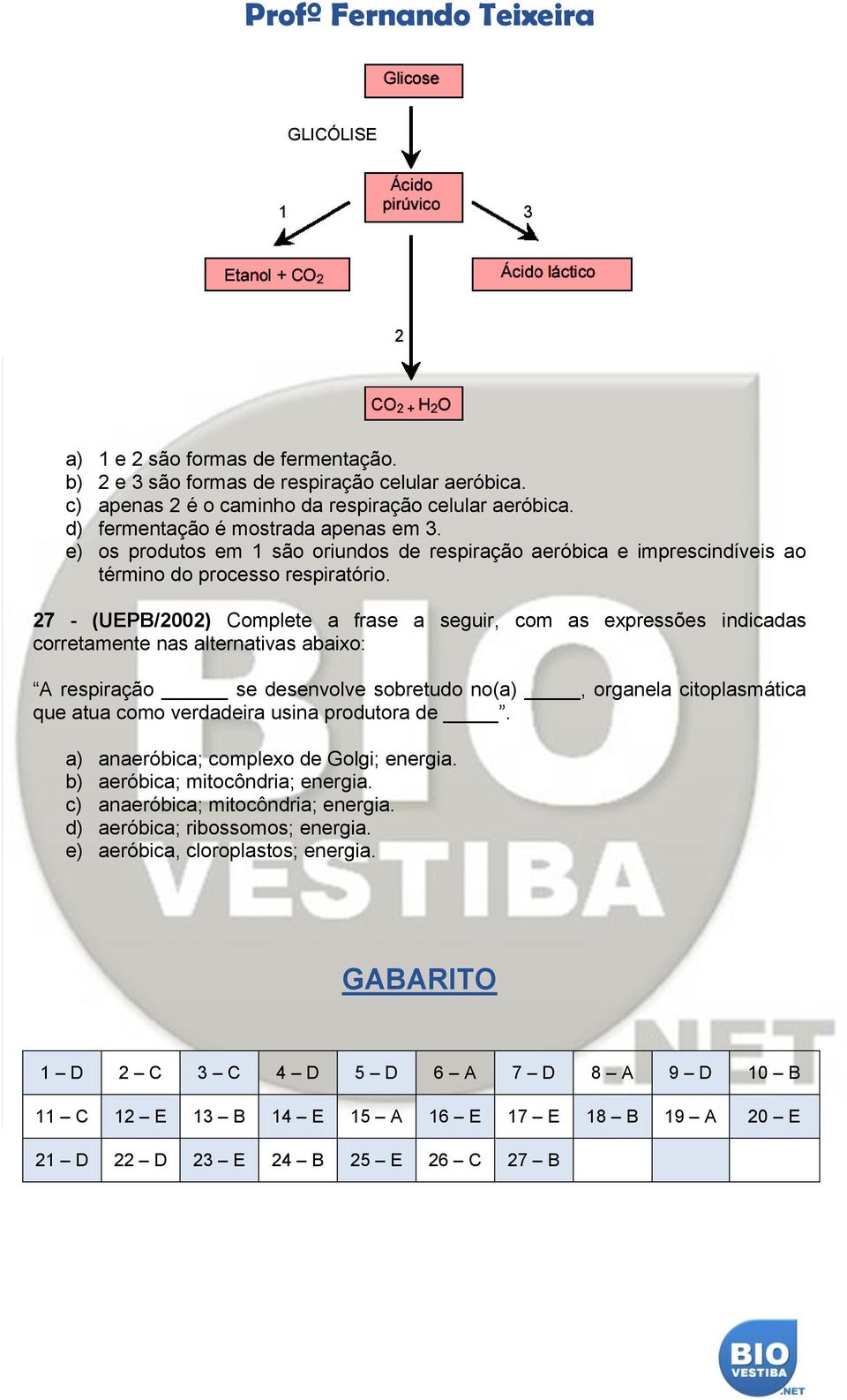 27 - (UEPB/2002) Complete a frase a seguir, com as expressões indicadas corretamente nas alternativas abaixo: A respiração se desenvolve sobretudo no(a), organela citoplasmática que atua como