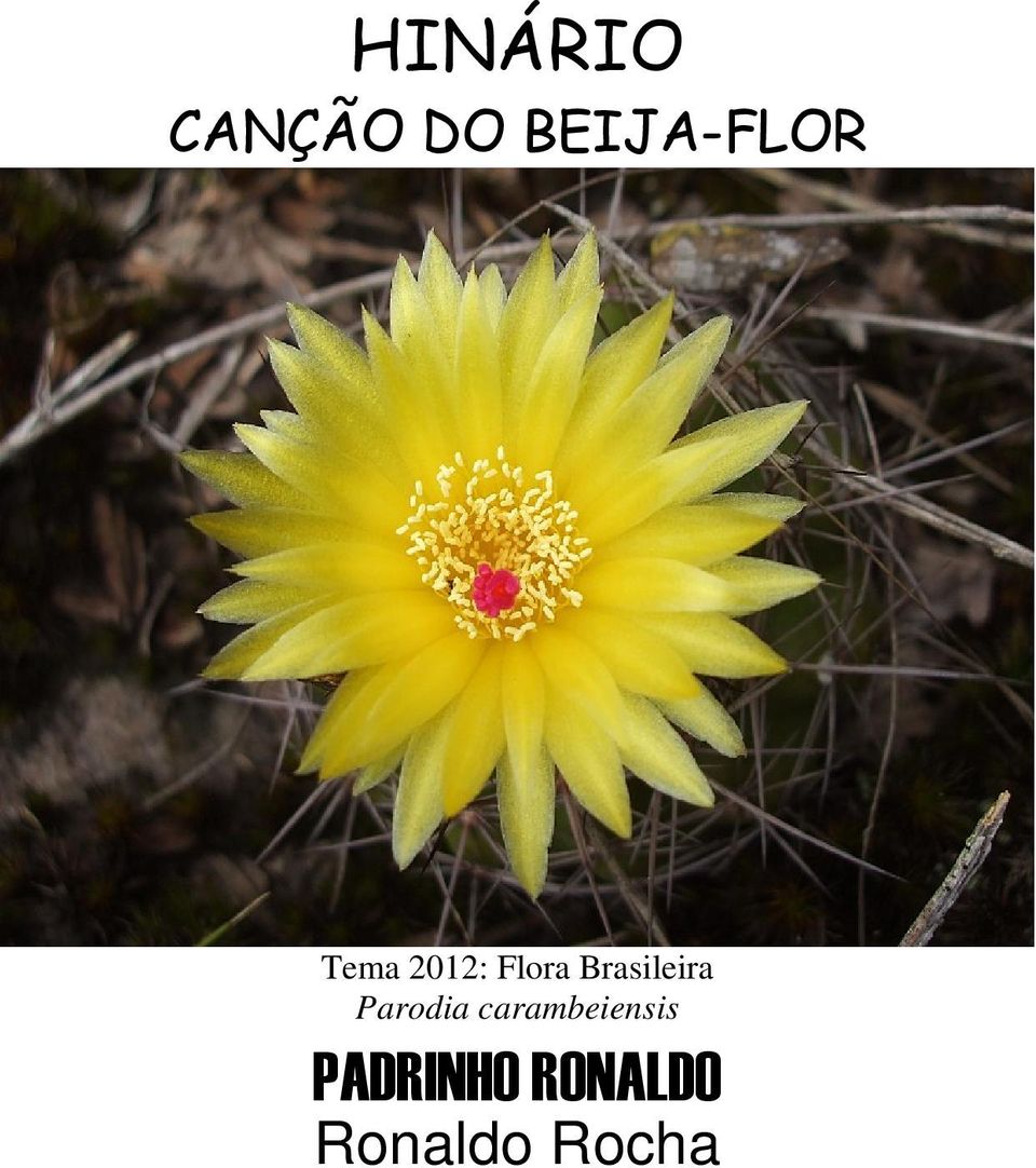 Brasileira Parodia