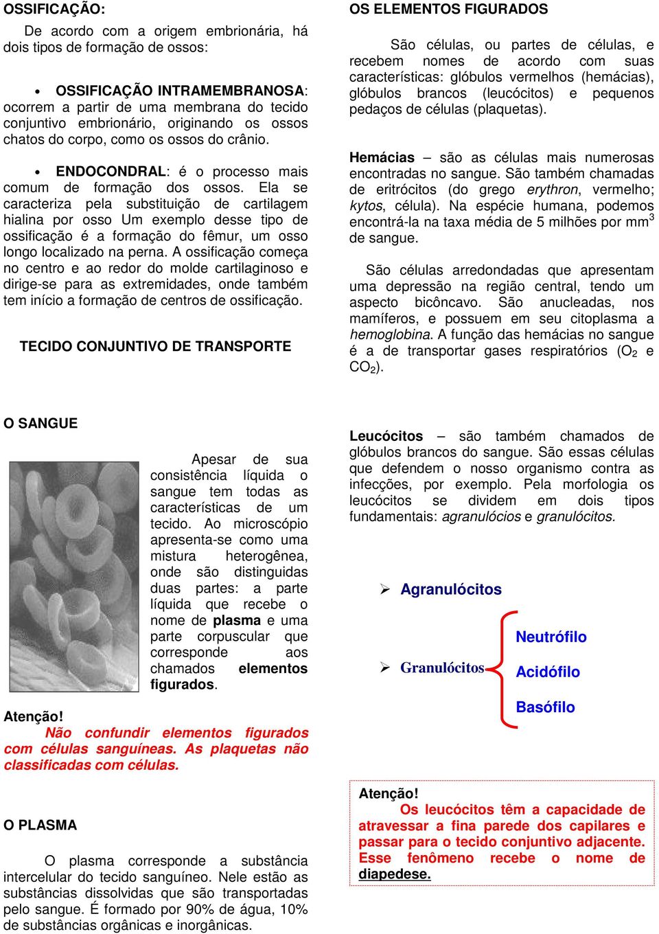 Ela se caracteriza pela substituição de cartilagem hialina por osso Um exemplo desse tipo de ossificação é a formação do fêmur, um osso longo localizado na perna.