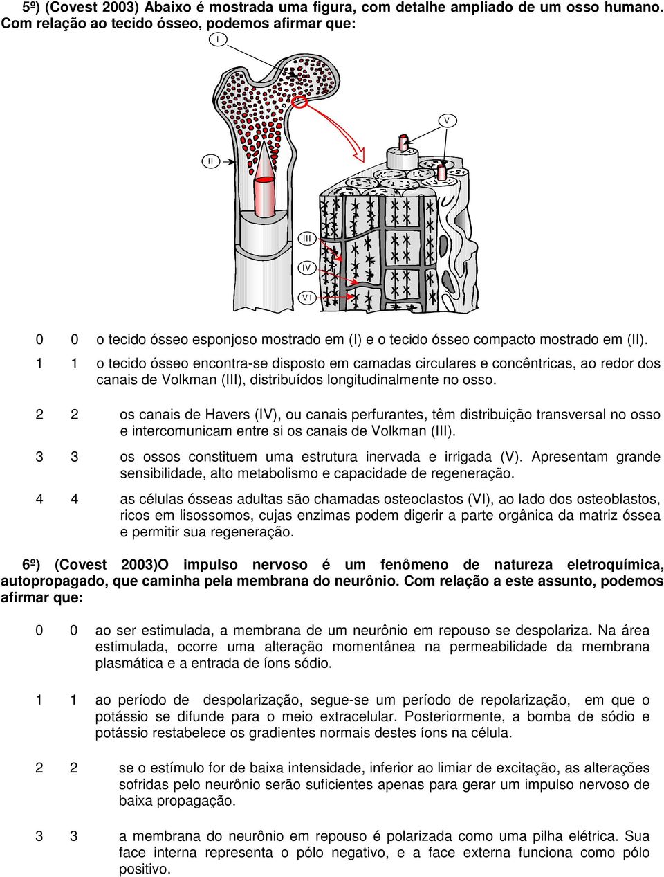 1 1 o tecido ósseo encontra-se disposto em camadas circulares e concêntricas, ao redor dos canais de Volkman (III), distribuídos longitudinalmente no osso.