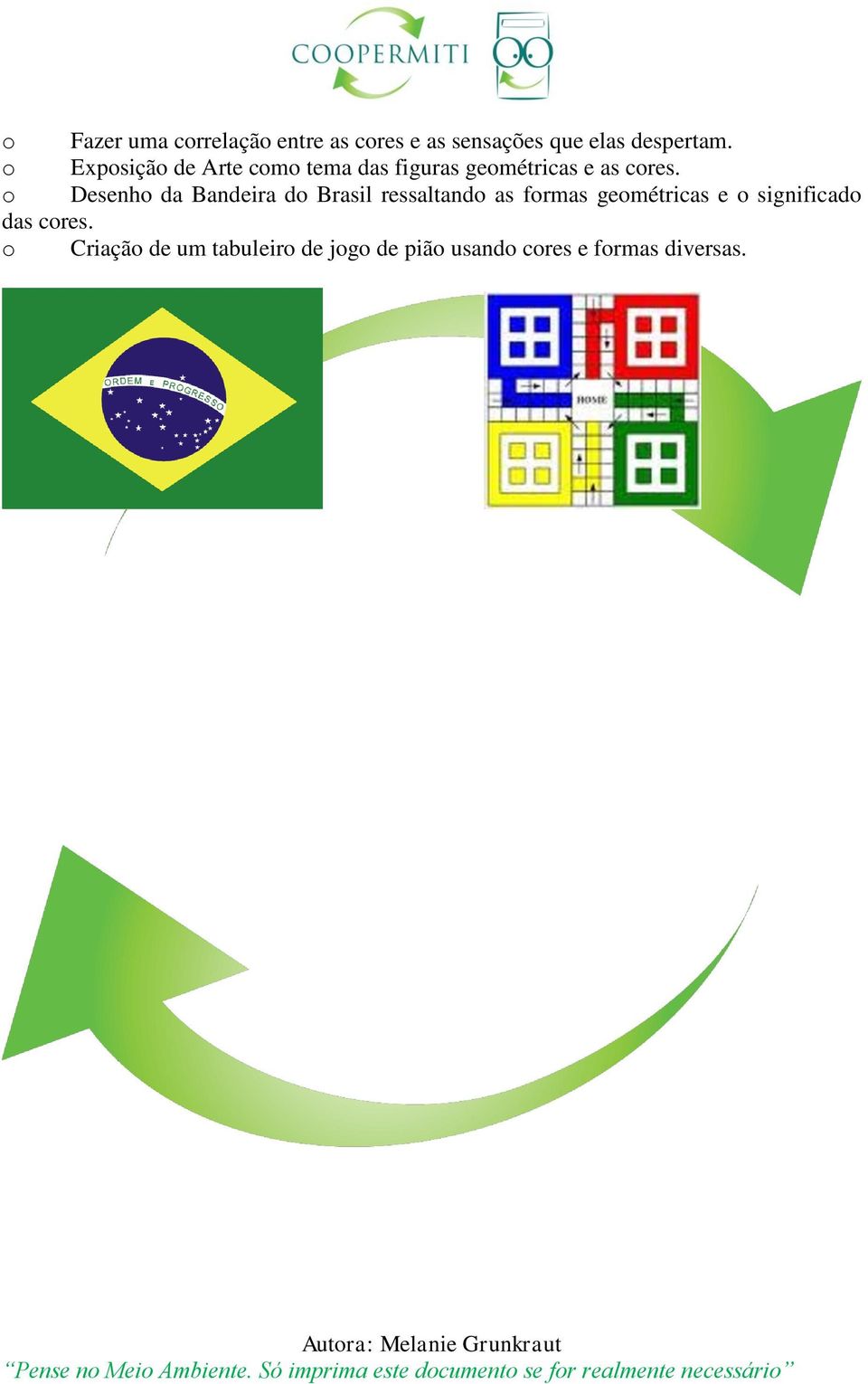 o Desenho da Bandeira do Brasil ressaltando as formas geométricas e o