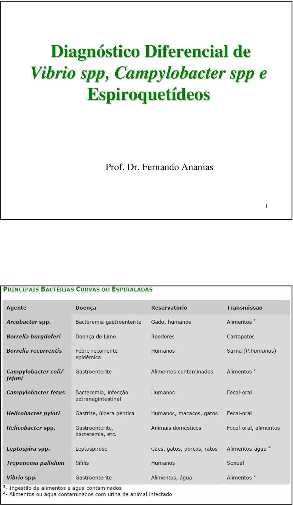 Campylobacter spp e