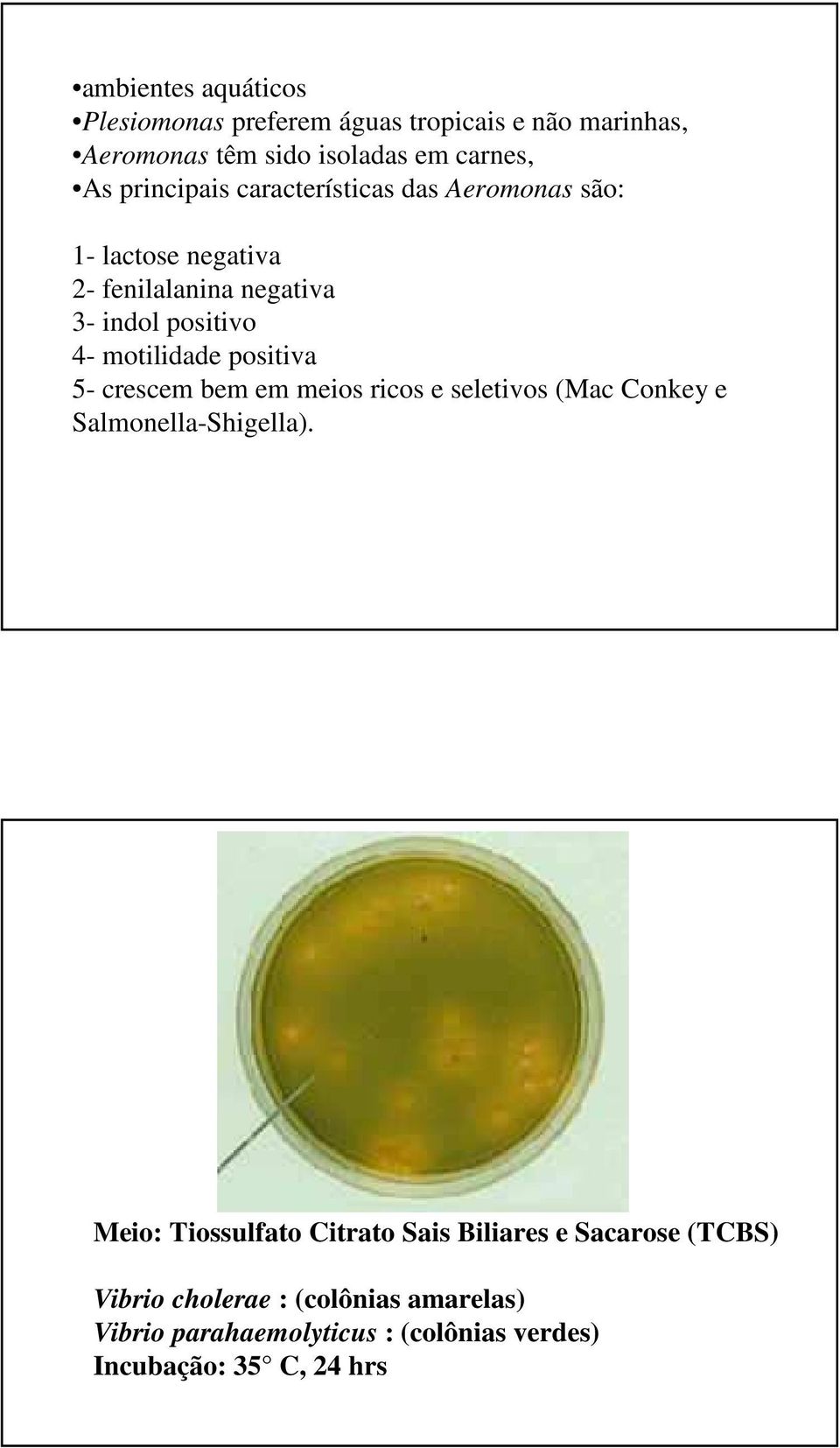 motilidade positiva 5- crescem bem em meios ricos e seletivos (Mac Conkey e Salmonella-Shigella).