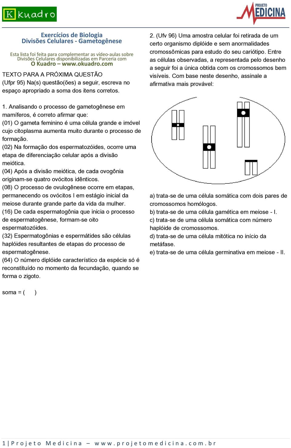 Analisando o processo de gametogênese em mamíferos, é correto afirmar que: (01) O gameta feminino é uma célula grande e imóvel cujo citoplasma aumenta muito durante o processo de formação.