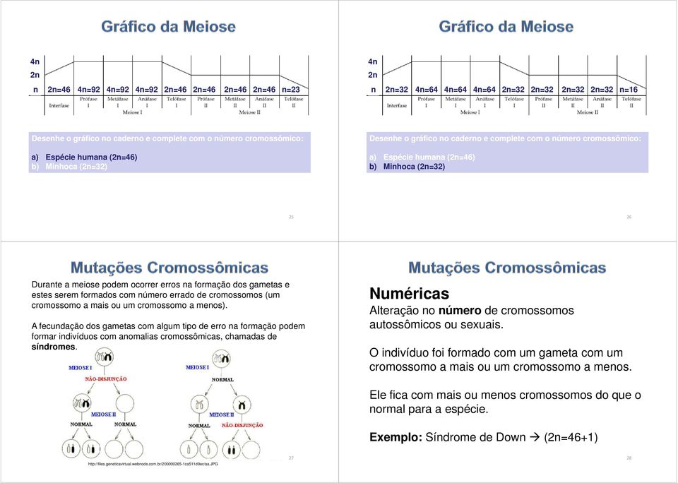 formação dos gametas e estes serem formados com número errado de cromossomos (um cromossomo a mais ou um cromossomo a menos).