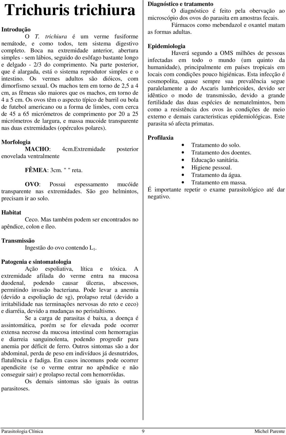 Na parte posterior, que é alargada, está o sistema reprodutor simples e o intestino. Os vermes adultos são dióicos, com dimorfismo sexual.