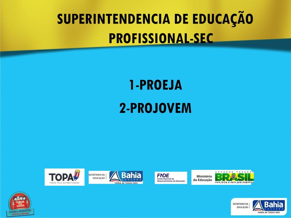 PROFISSIONAL-SEC