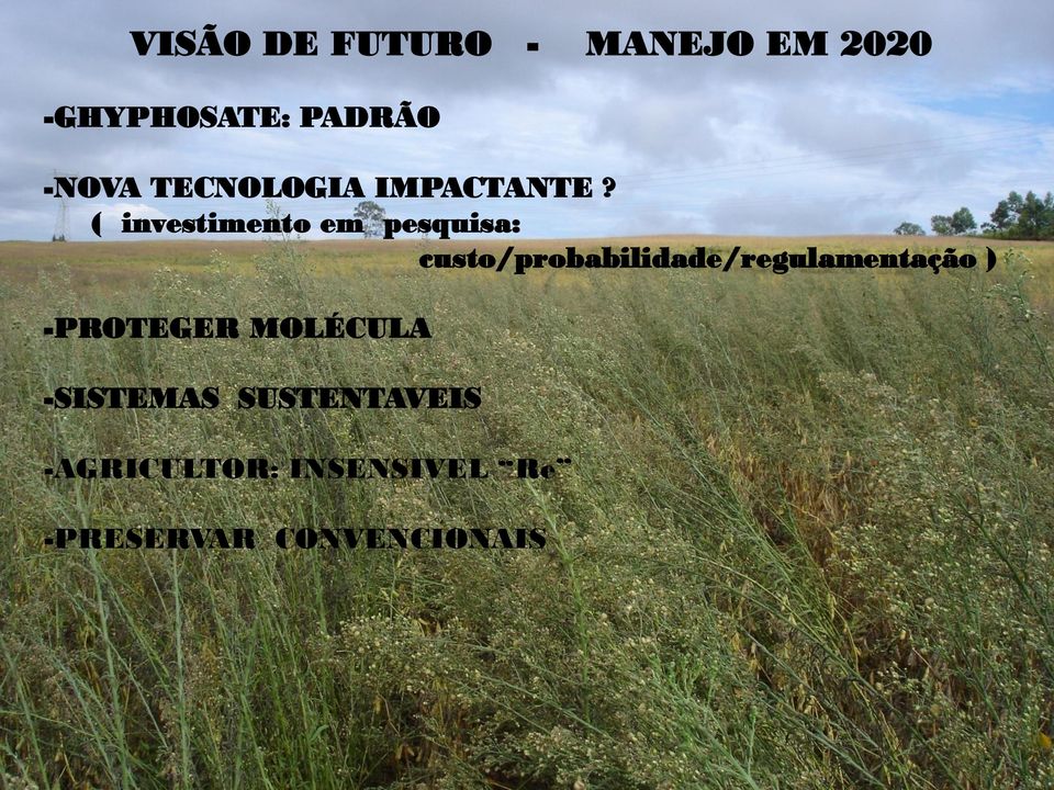 ( investimento em pesquisa: