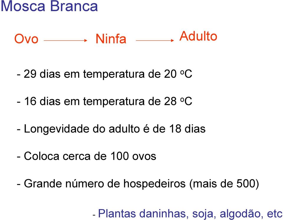 éde 18 dias -Coloca cerca de 100 ovos -Grande número de