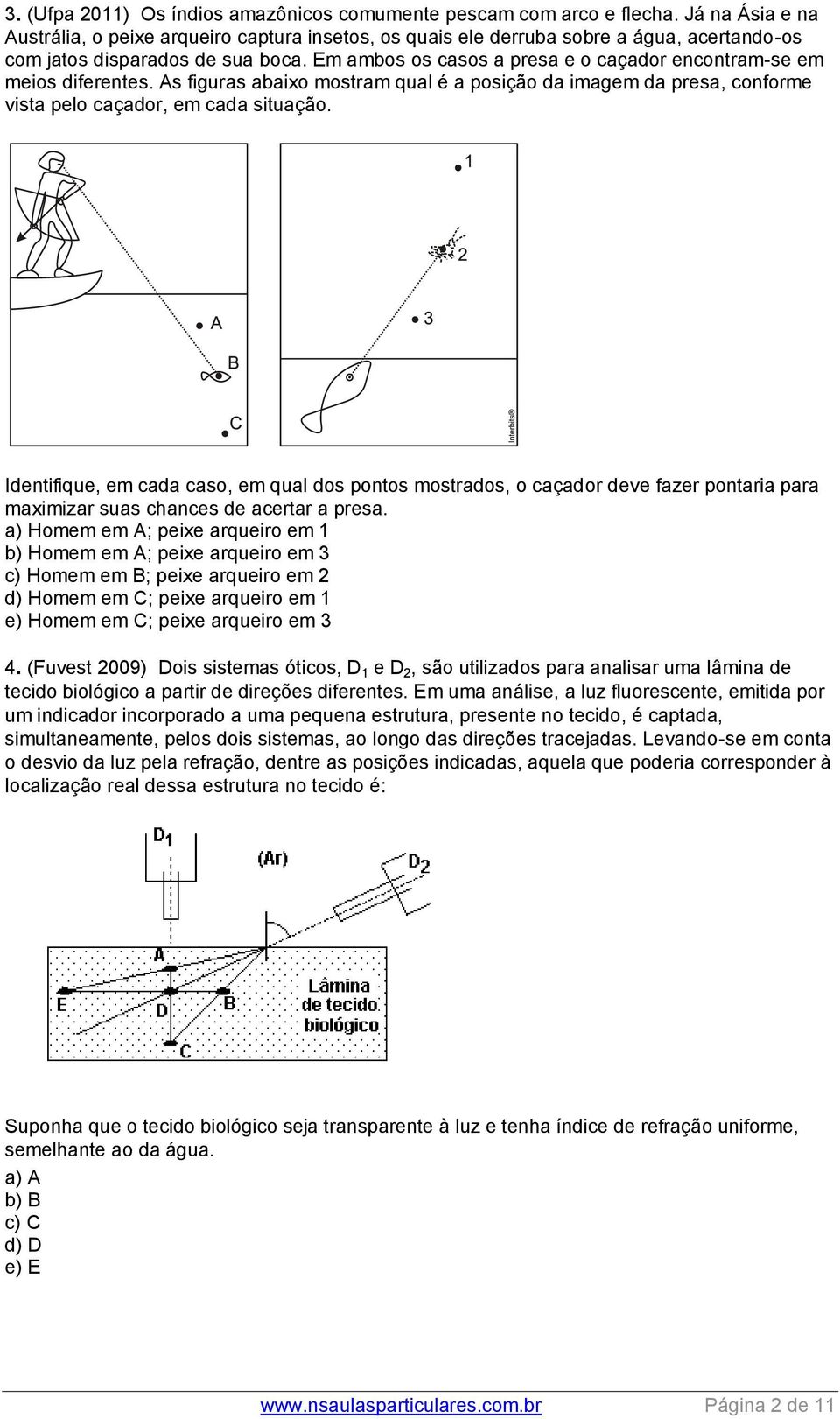 Em ambos os casos a presa e o caçador encontram-se em meios diferentes. As figuras abaixo mostram qual é a posição da imagem da presa, conforme vista pelo caçador, em cada situação.