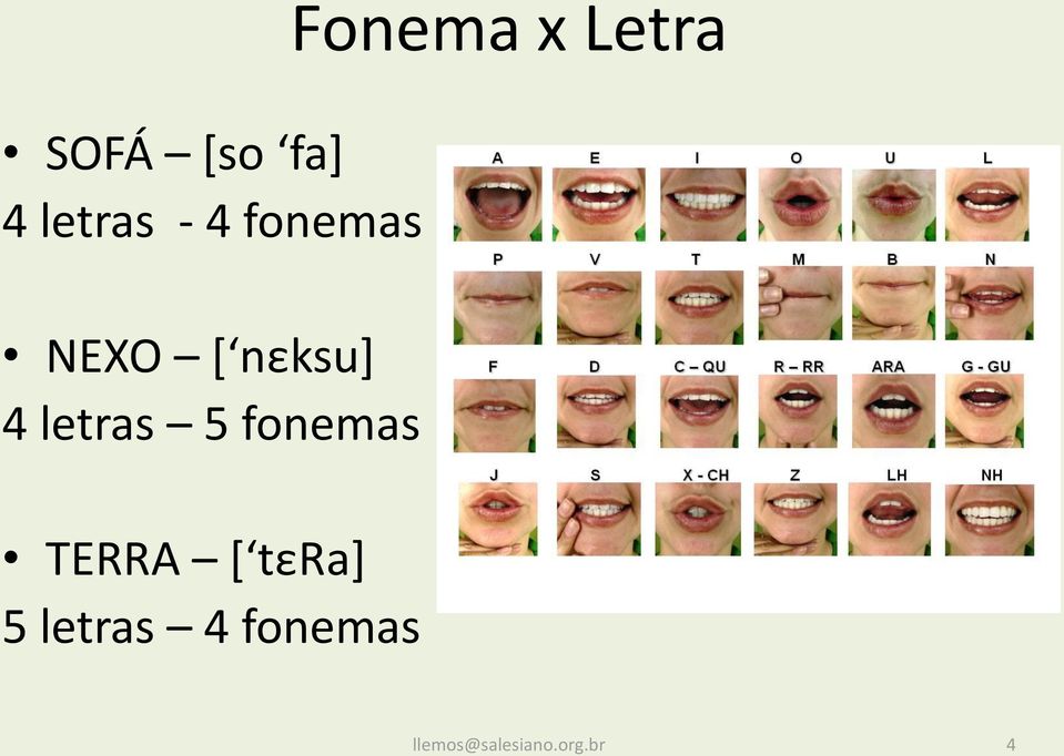 letras 5 fonemas TERRA [