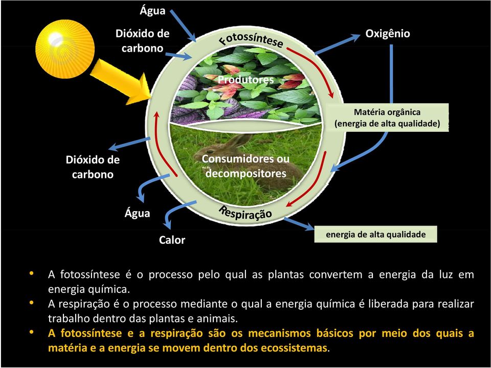 energia química.