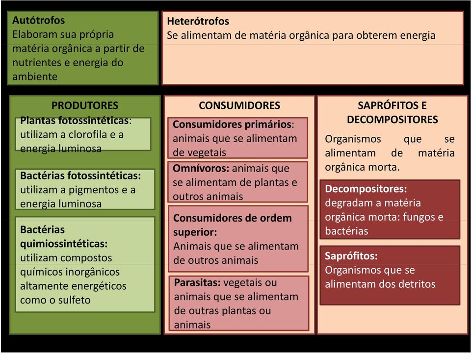 energéticos como o sulfeto CONSUMIDORES Consumidores primários: animais que se alimentam de vegetais Omnívoros: animais que se alimentam de plantas e outros animais Consumidores de ordem superior: