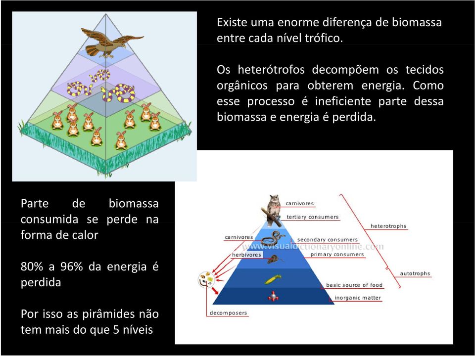 Como esse processo é ineficiente parte dessa biomassa e energia é perdida.