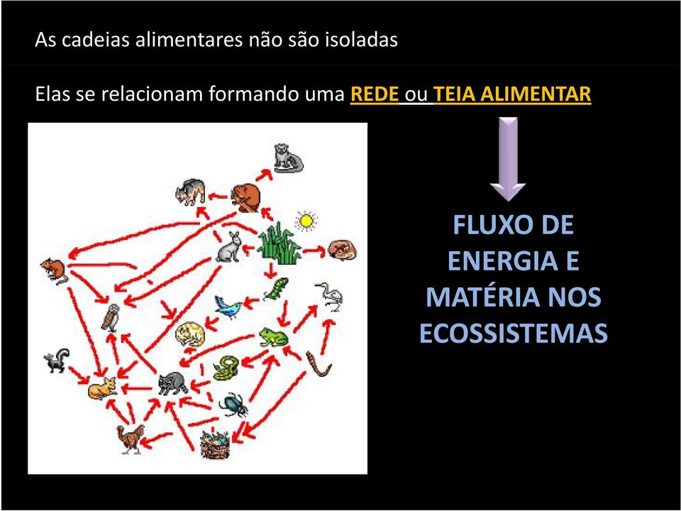 formando uma REDE ou TEIA