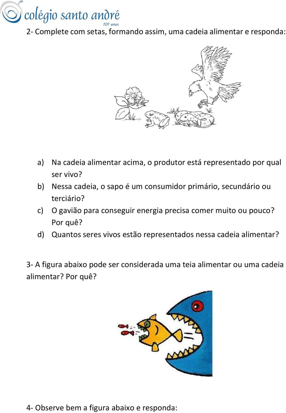 c) O gavião para conseguir energia precisa comer muito ou pouco? Por quê?