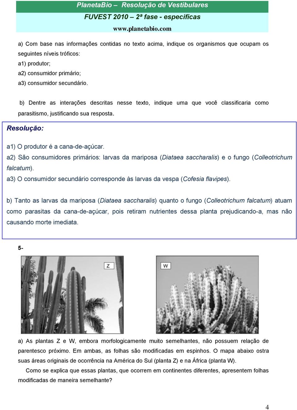 a2) São consumidores primários: larvas da mariposa (Diataea saccharalis) e o fungo (Colleotrichum falcatum). a3) O consumidor secundário corresponde às larvas da vespa (Cofesia flavipes).