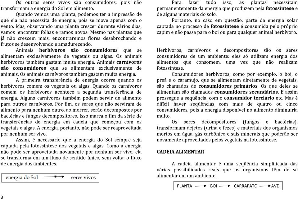 Mas, observando uma planta crescer durante vários dias, vamos encontrar folhas e ramos novos.