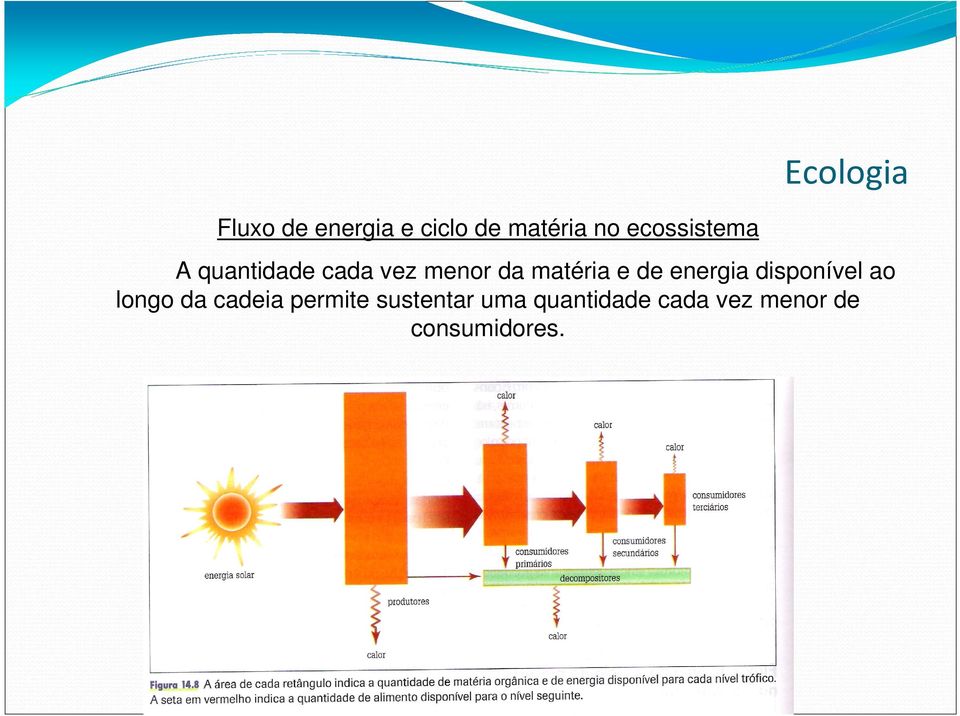 matéria e de energia disponível ao longo da