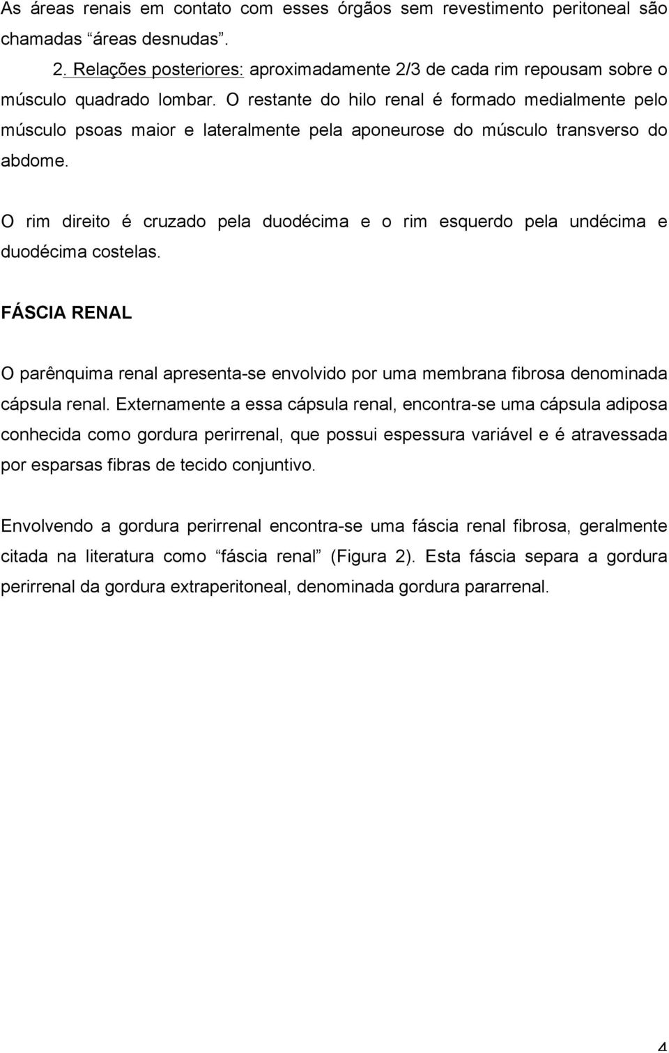 O rim direito é cruzado pela duodécima e o rim esquerdo pela undécima e duodécima costelas. FÁSCIA RENAL O parênquima renal apresenta-se envolvido por uma membrana fibrosa denominada cápsula renal.