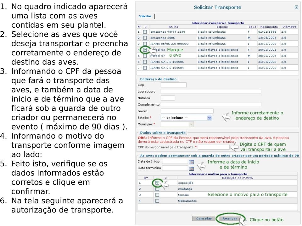 Informando o CPF da pessoa que fará o transporte das aves, e também a data de inicio e de término que a ave ficará sob a guarda de outro criador