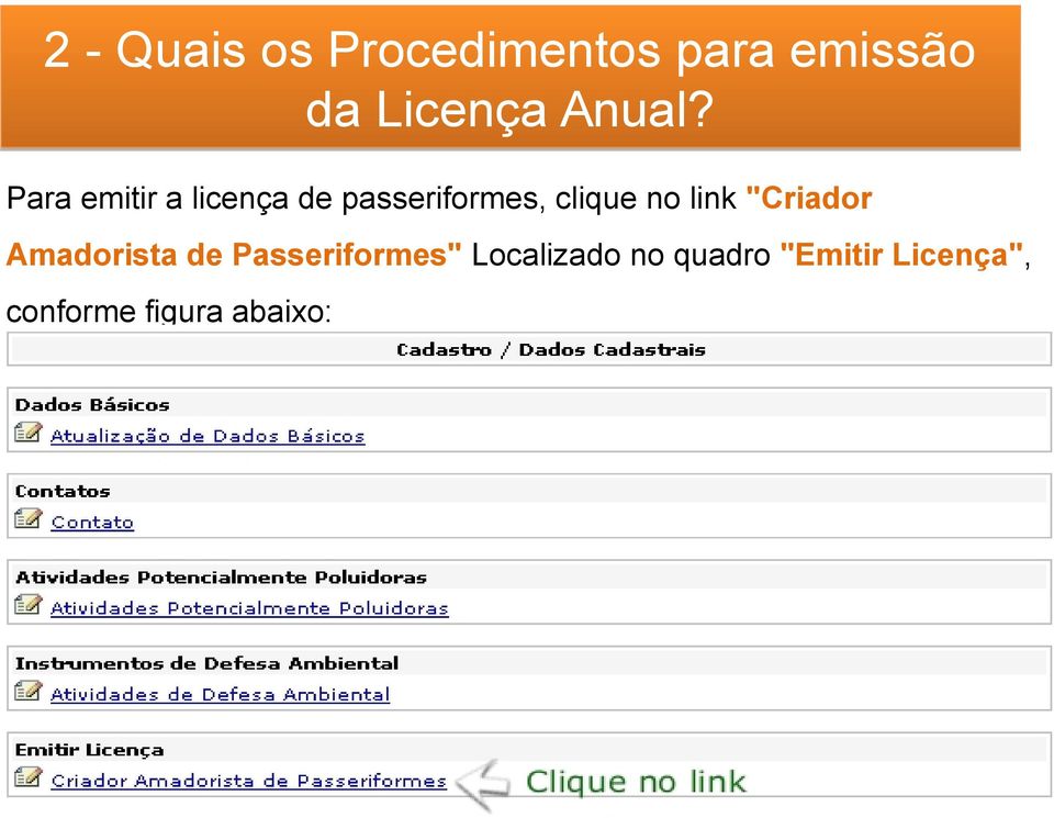 Para emitir a licença de passeriformes, clique no