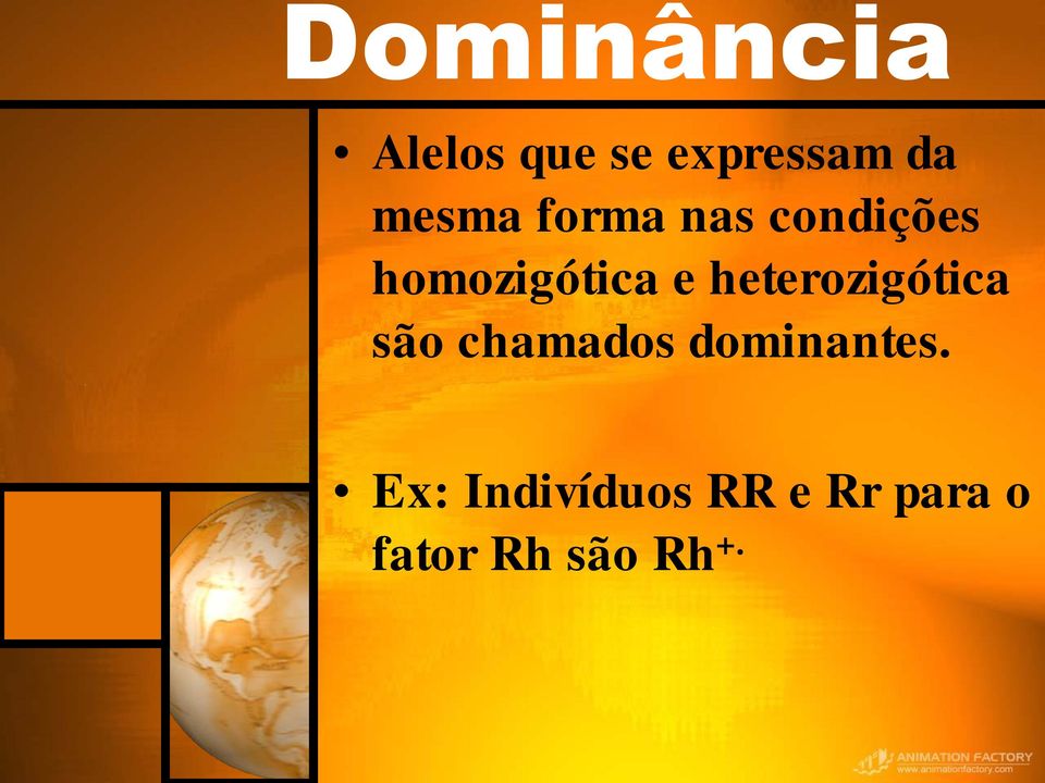 heterozigótica são chamados dominantes.