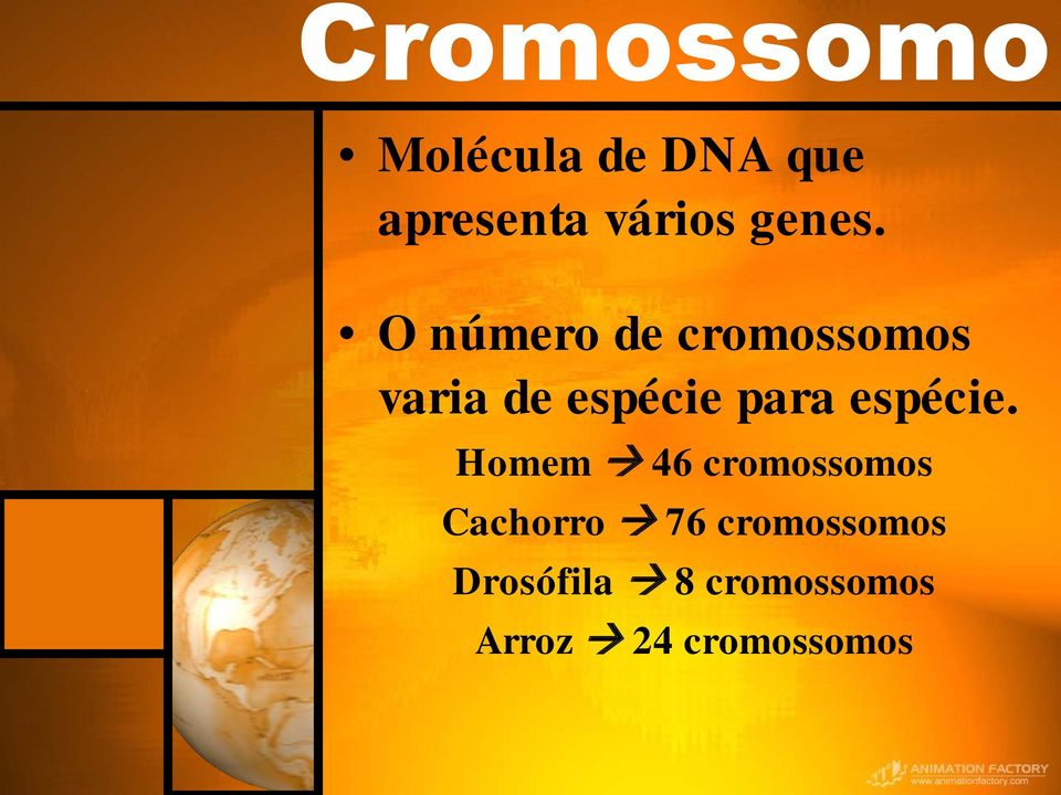 O número de cromossomos varia de espécie para