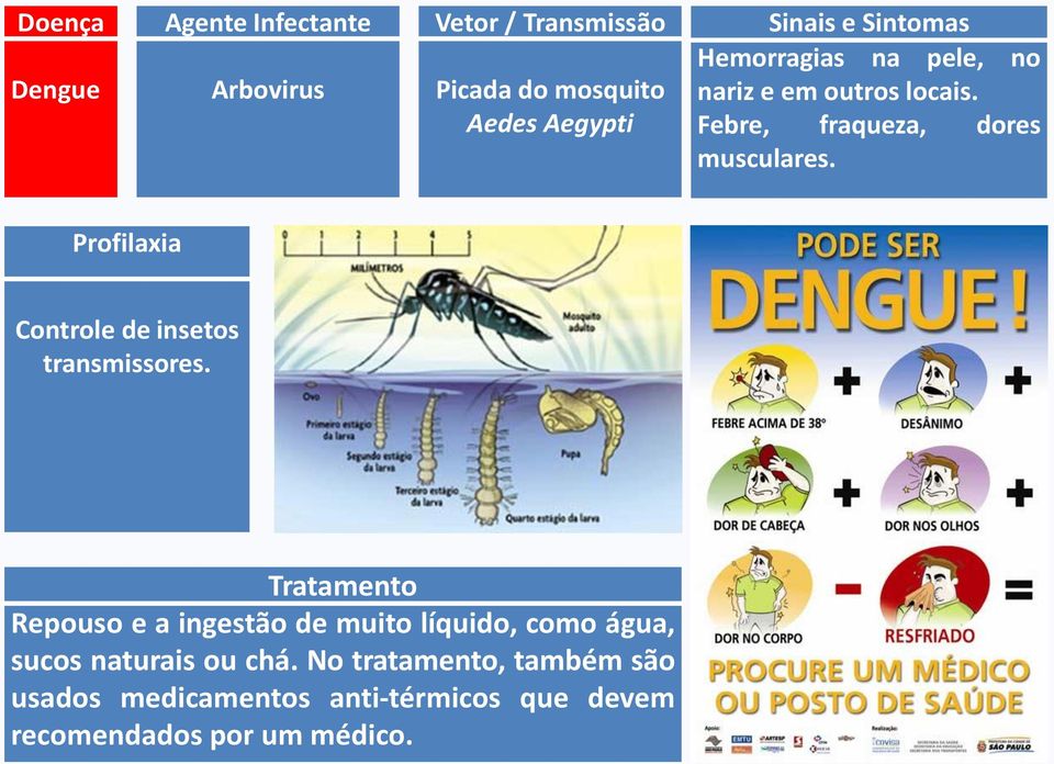 Profilaxia Controle de insetos transmissores.
