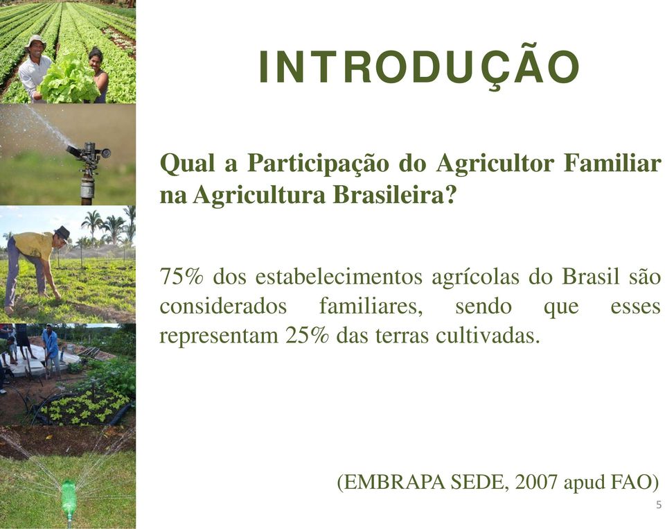 75% dos estabelecimentos agrícolas do Brasil são