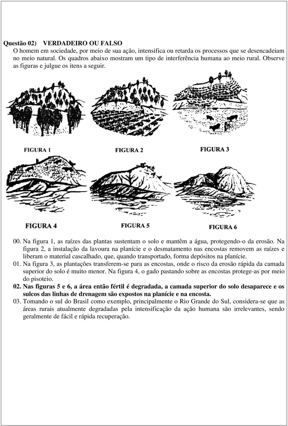 Na figura 1, as raízes das plantas sustentam o solo e mantêm a água, protegendo-o da erosão.