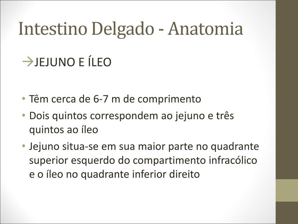 íleo Jejuno situa-se em sua maior parte no quadrante superior