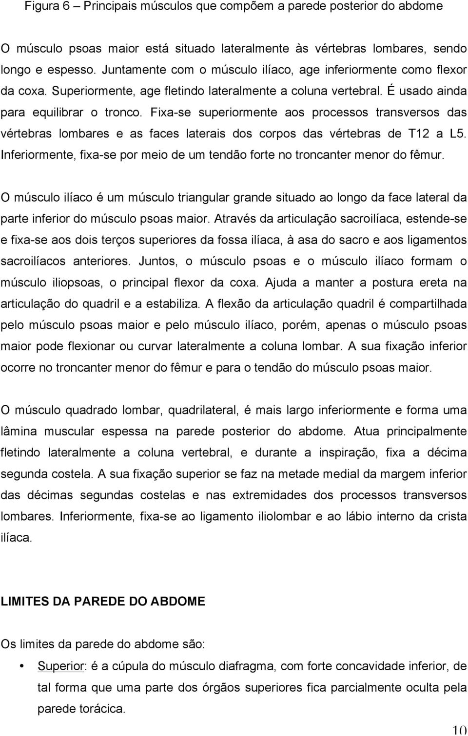 Fixa-se superiormente aos processos transversos das vértebras lombares e as faces laterais dos corpos das vértebras de T12 a L5.