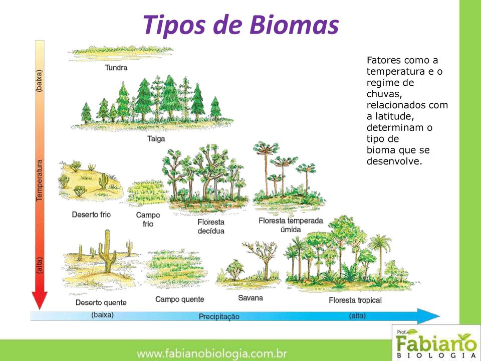 relacionados com a latitude,