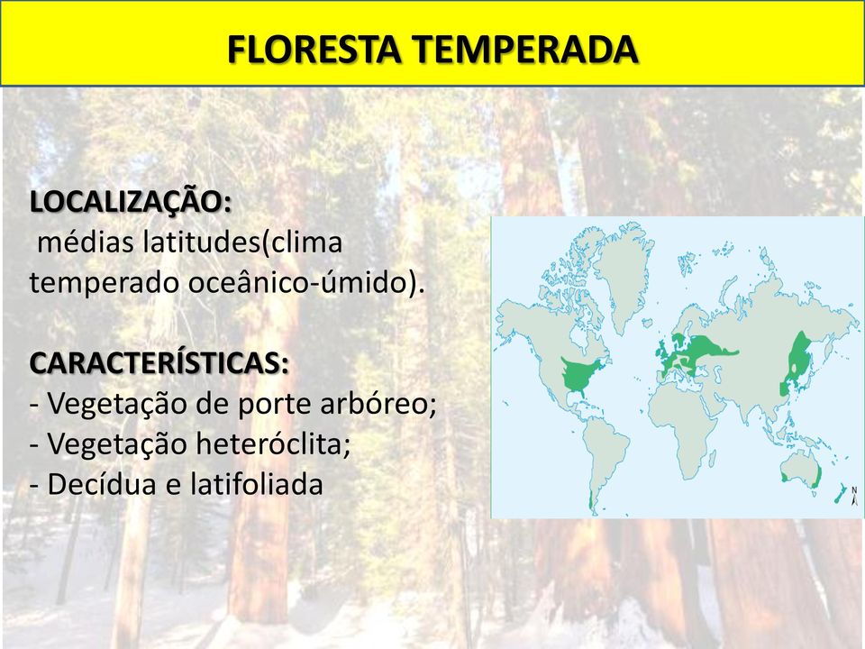 CARACTERÍSTICAS: - Vegetação de porte