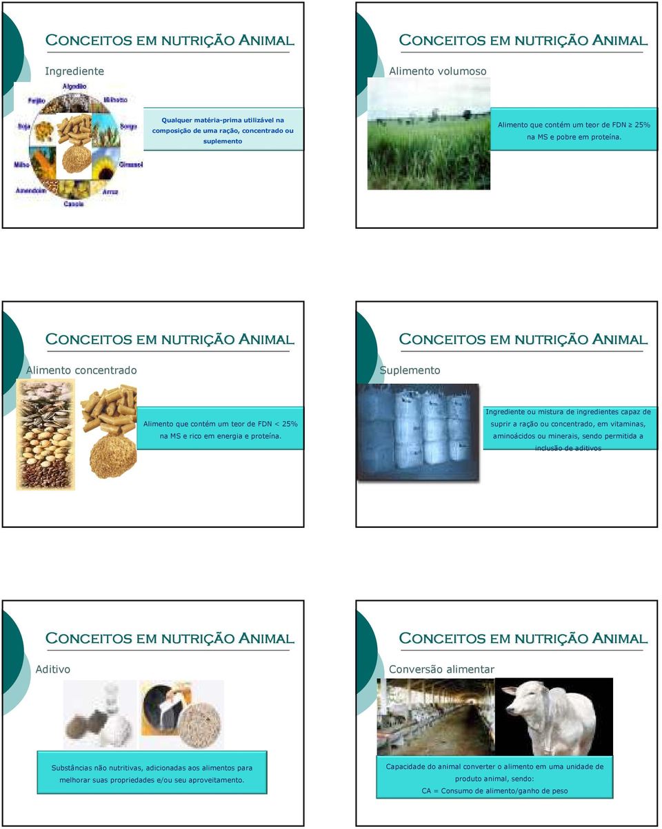 Ingrediente ou mistura de ingredientes capaz de suprir a ração ou concentrado, em vitaminas, aminoácidos ou minerais, sendo permitida a inclusão de aditivos Aditivo Conversão