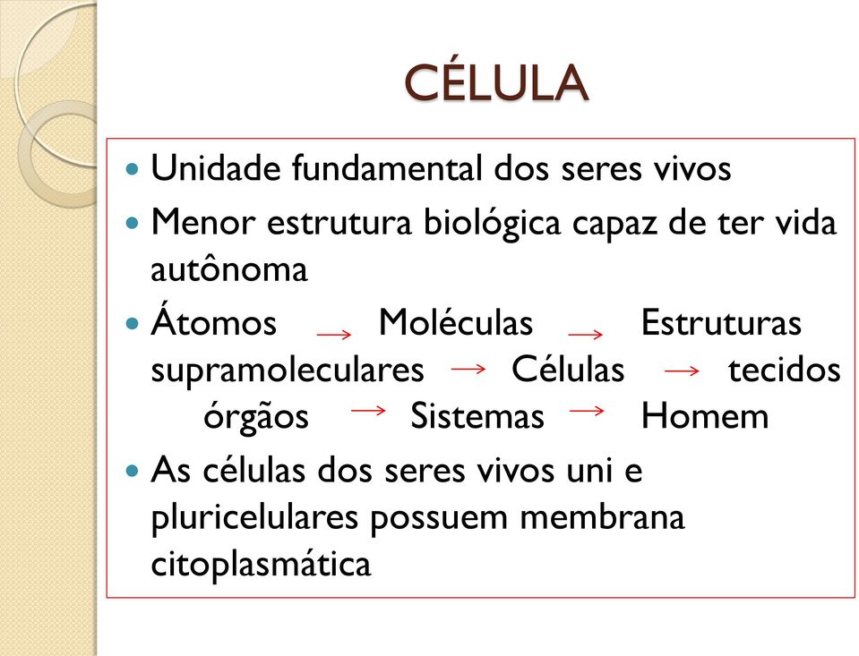 supramoleculares Células tecidos órgãos Sistemas Homem As