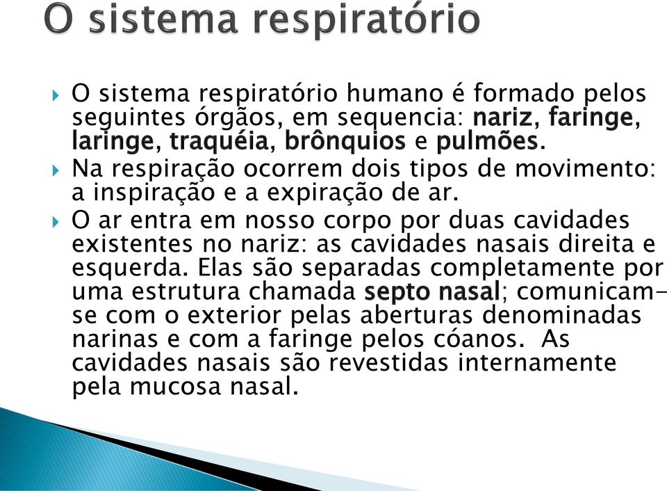 O ar entra em nosso corpo por duas cavidades existentes no nariz: as cavidades nasais direita e esquerda.