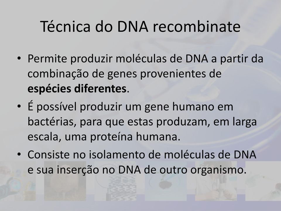 É possível produzir um gene humano em bactérias, para que estas produzam, em