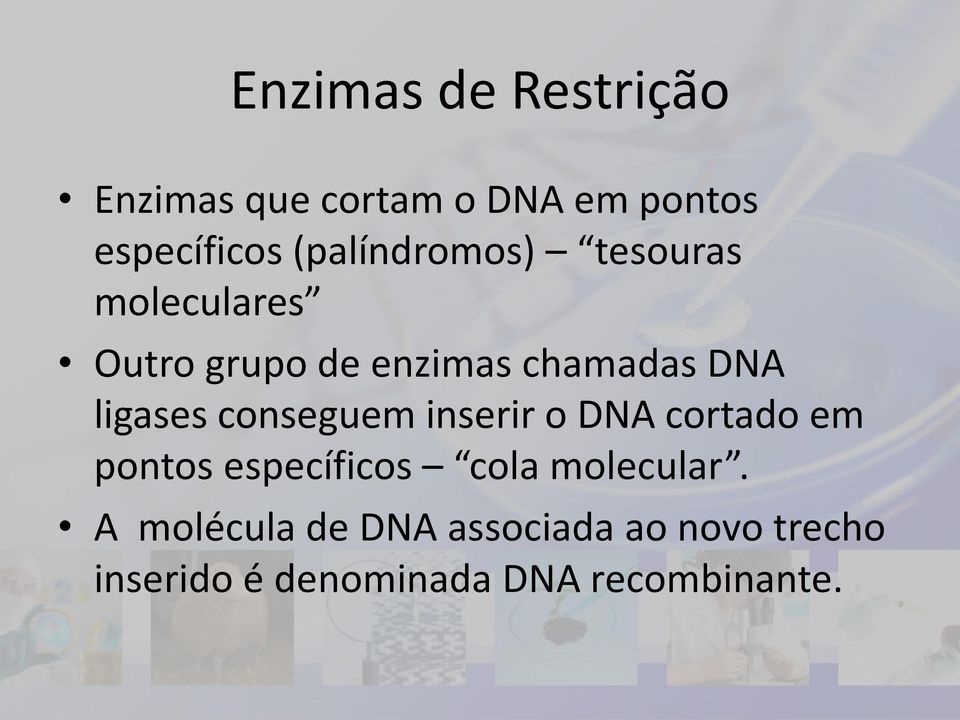 ligases conseguem inserir o DNA cortado em pontos específicos cola