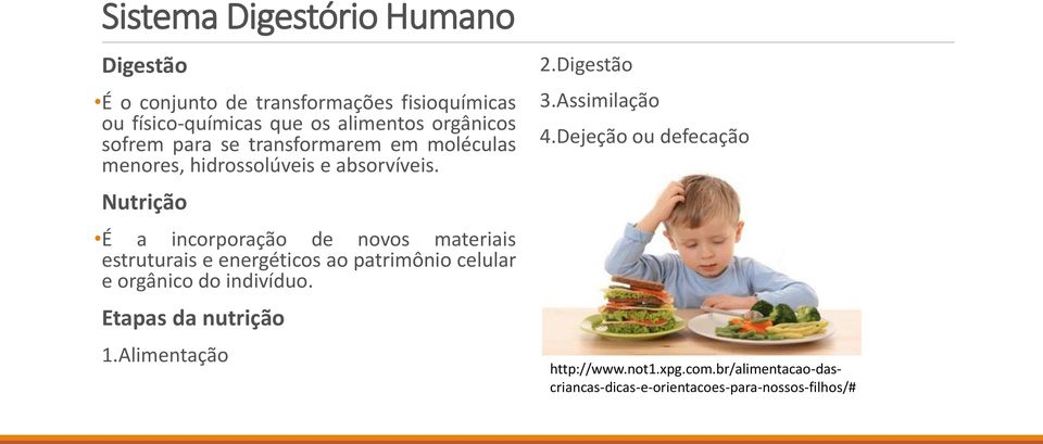 Nutrição É a incorporação de novos materiais estruturais e energéticos ao patrimônio celular e orgânico do indivíduo.