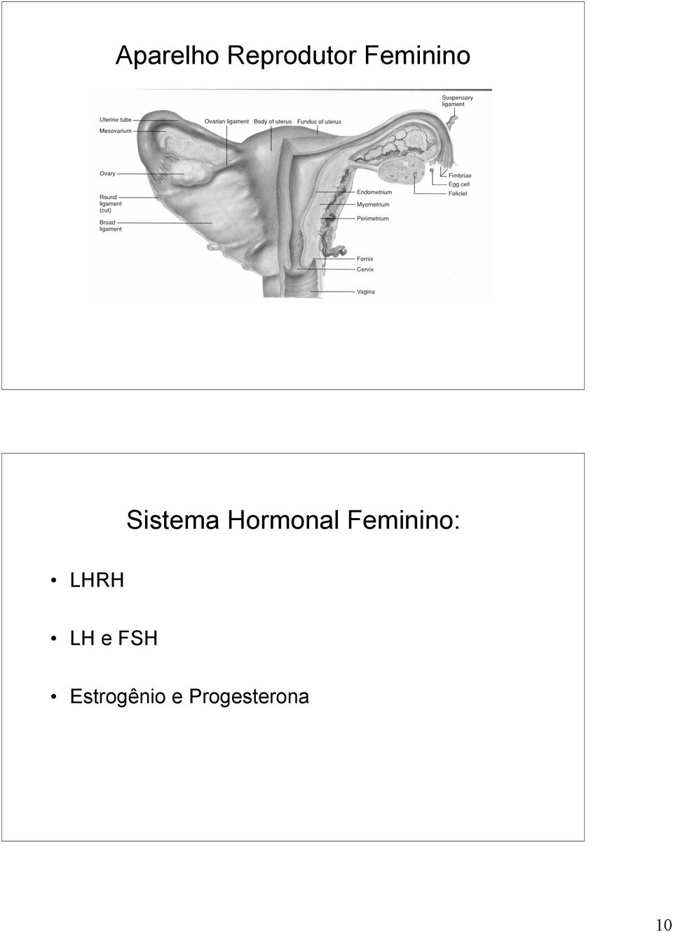 Hormonal Feminino: LHRH