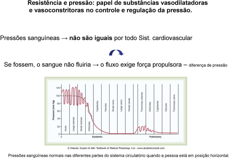 cardiovascular Se fossem, o sangue não fluiria o fluxo exige força propulsora diferença de