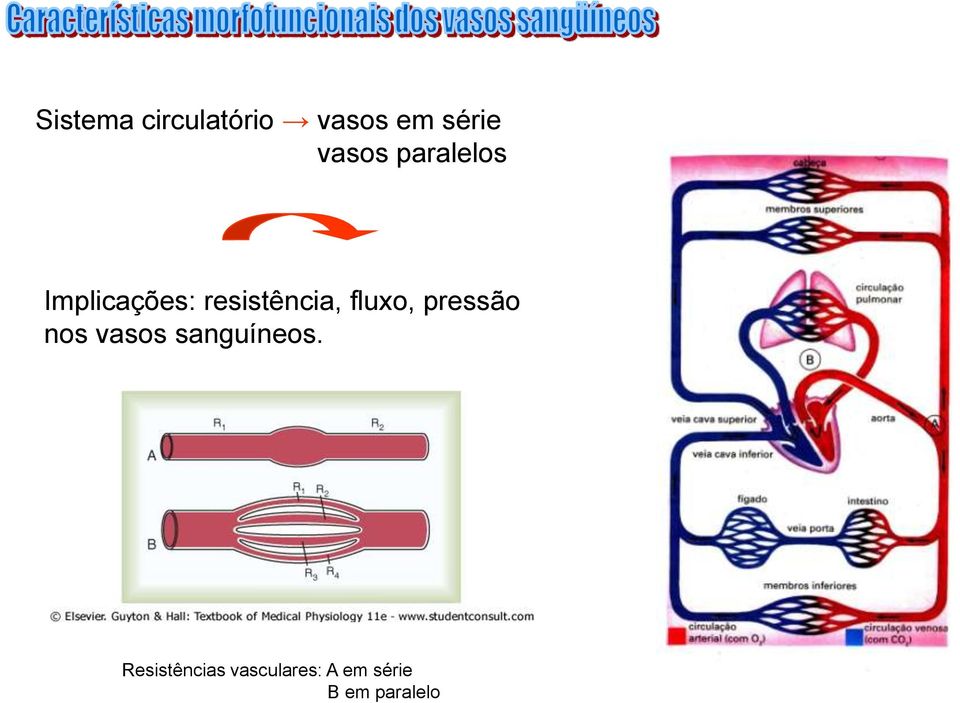 resistência, fluxo, pressão nos vasos