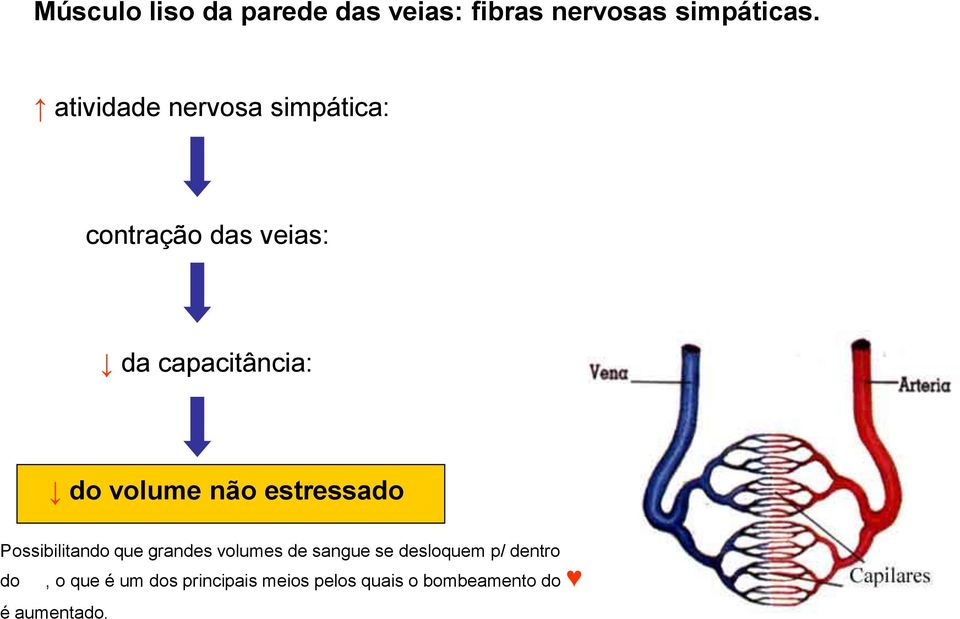 volume não estressado Possibilitando que grandes volumes de sangue se