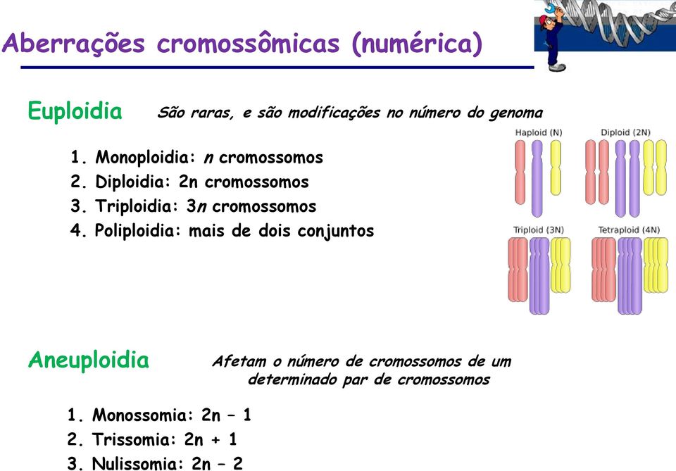 Triploidia: 3n cromossomos 4.