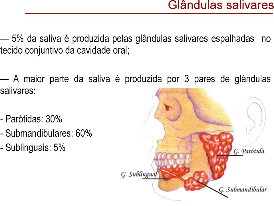 maior parte da saliva é produzida por 3 pares de glândulas