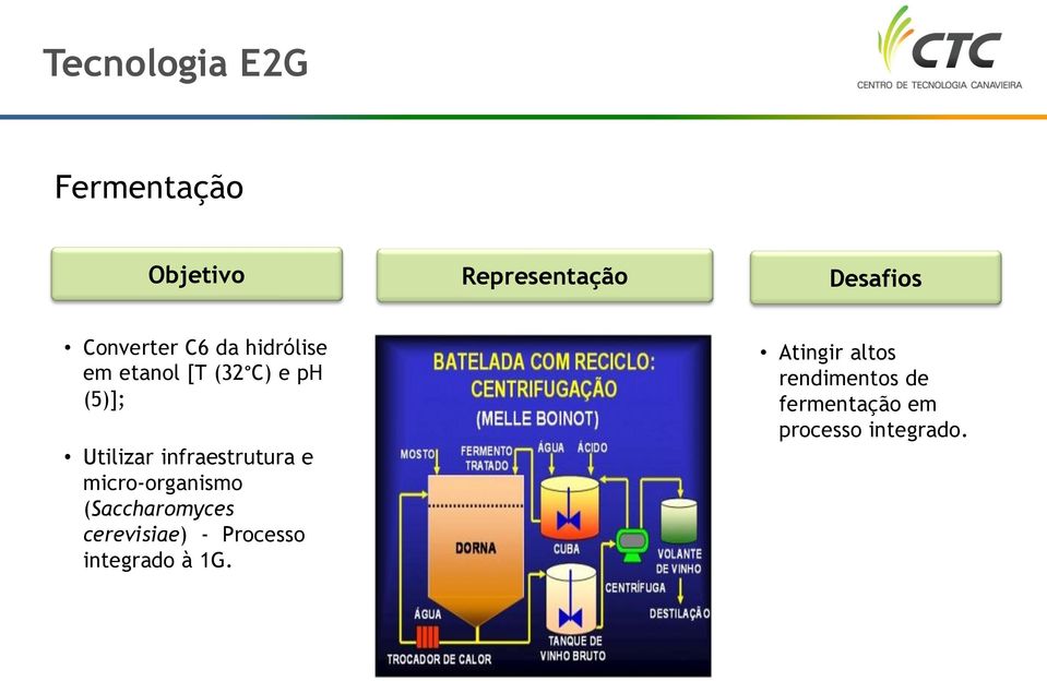 infraestrutura e micro-organismo (Saccharomyces cerevisiae) -